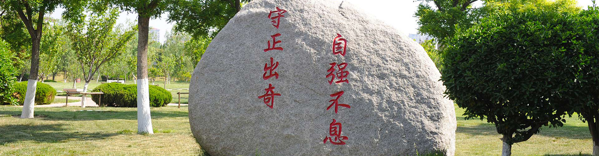 qy体育球友会